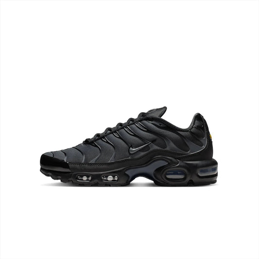 Nike Air Max Plus TN Plus 'Dark Grey'