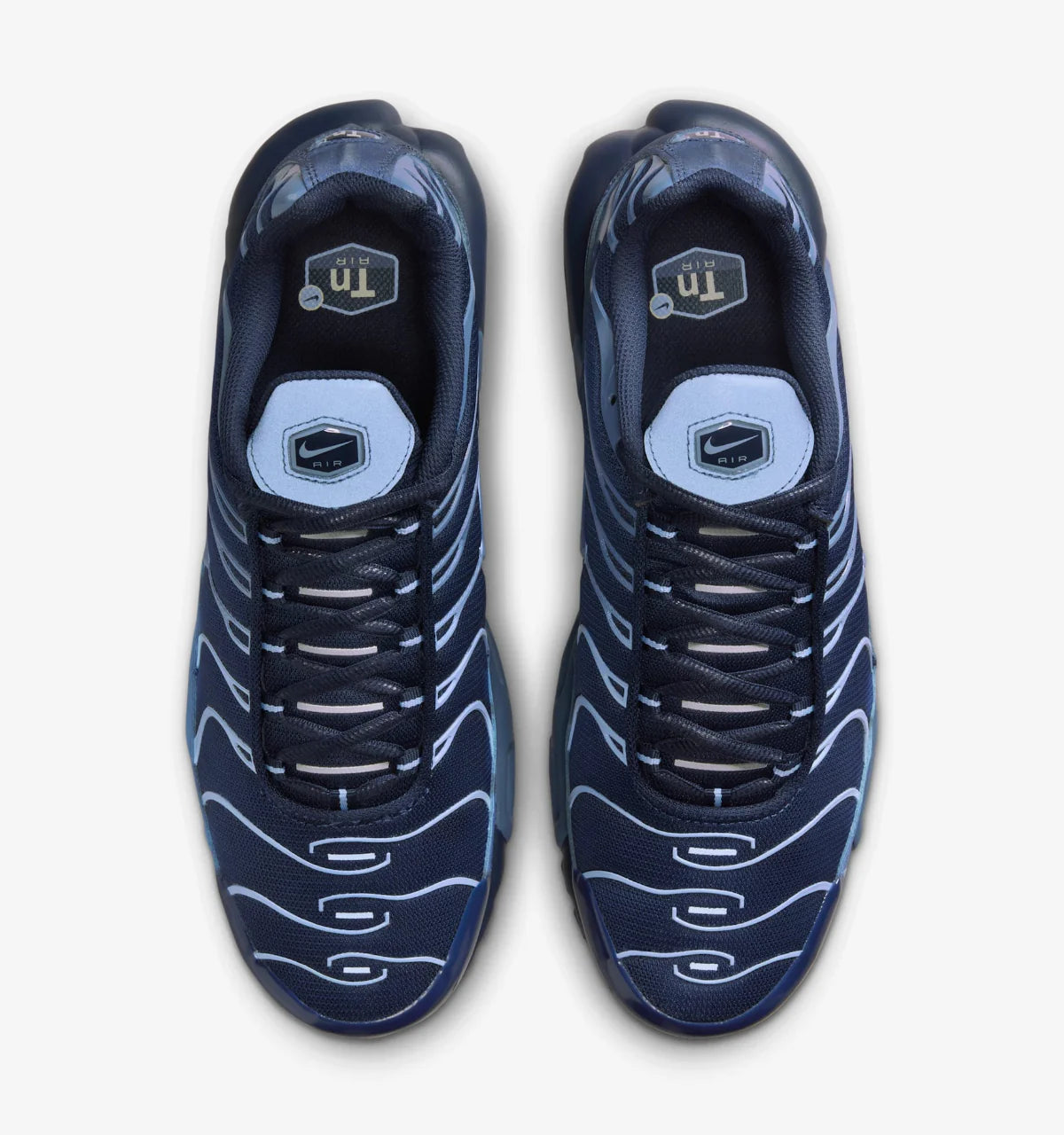 Nike TN Air Max Plus TN 'Obsidian Aluminum'