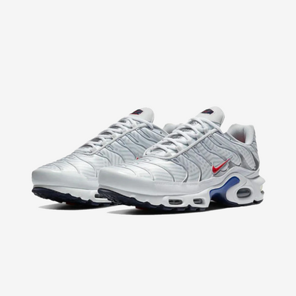 Nike Air Max Plus TN 'Euro Tour'
