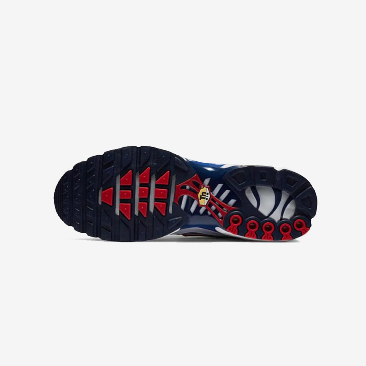 Nike Air Max Plus TN 'Euro Tour'