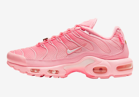 Nike Air Max TN Plus City Special Atlanta