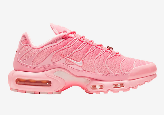 Nike Air Max TN Plus City Special Atlanta