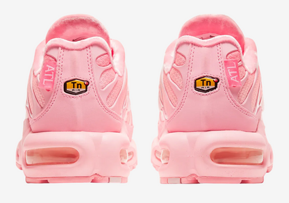 Nike Air Max TN Plus City Special Atlanta