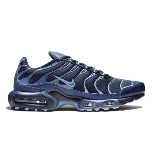 Nike TN Air Max Plus TN 'Obsidian Aluminum'