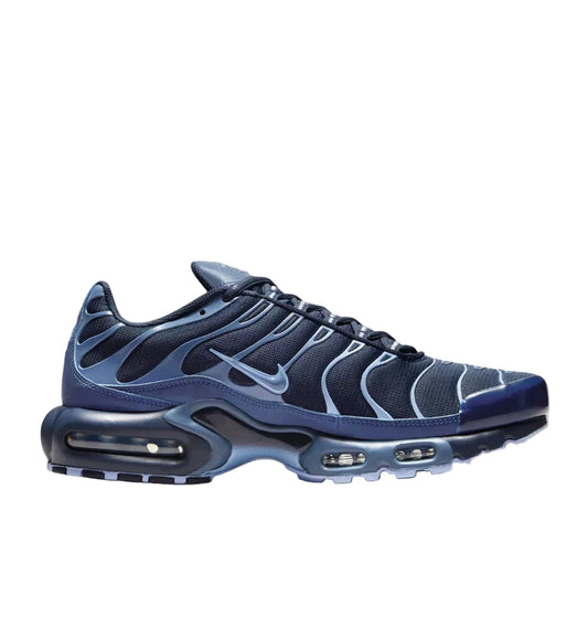 Nike TN Air Max Plus TN 'Obsidian Aluminum'