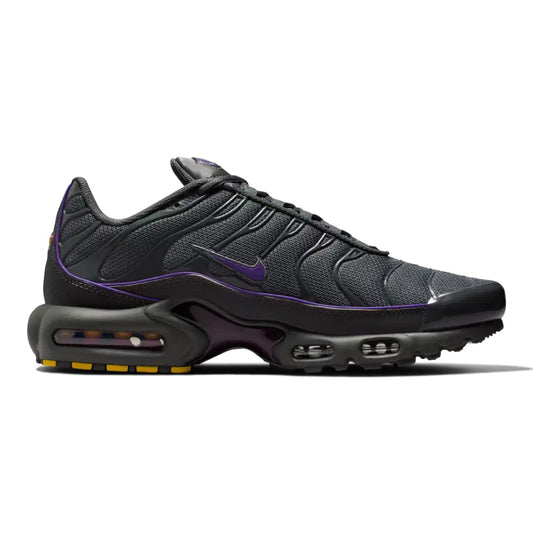 Nike Air Max Plus Grey/Wild Grape