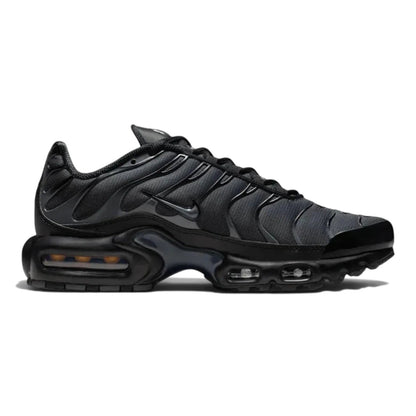 Nike Air Max Plus TN Plus 'Dark Grey'