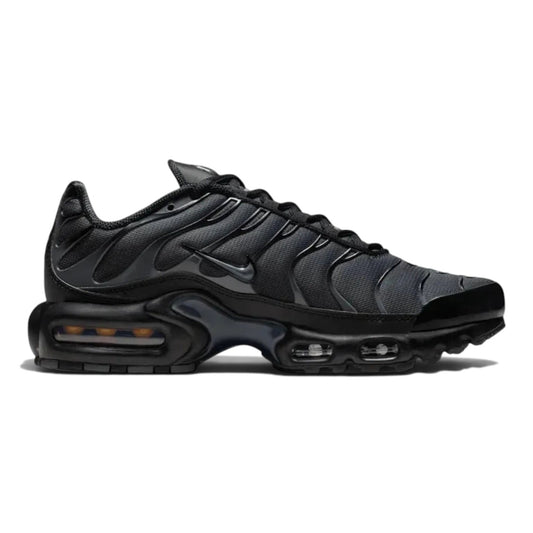 Nike Air Max Plus TN Plus 'Dark Grey'