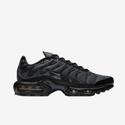 Nike Air Max Plus TN Plus 'Dark Grey'