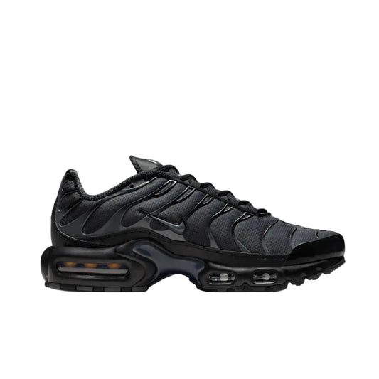 Nike Air Max Plus TN Plus 'Dark Grey'