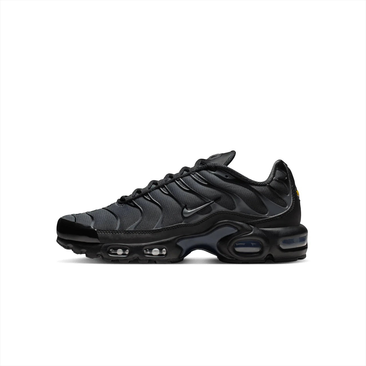 Nike Air Max Plus TN Plus 'Dark Grey'