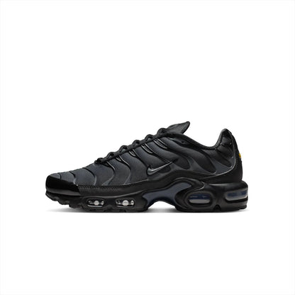 Nike Air Max Plus TN Plus 'Dark Grey'