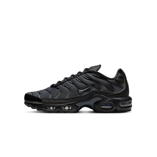 Nike Air Max Plus TN Plus 'Dark Grey'