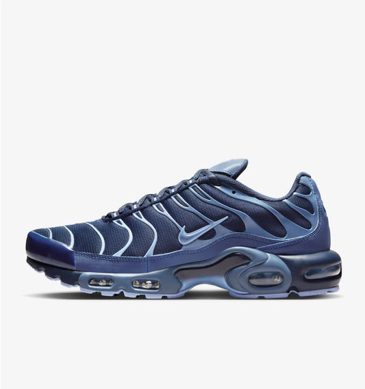 Nike TN Air Max Plus TN 'Obsidian Aluminum'