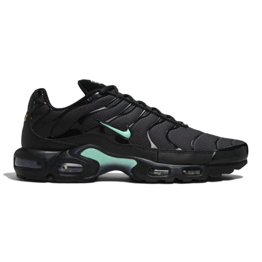 Nike Air Max Plus Tn "Black & Mint Foam"