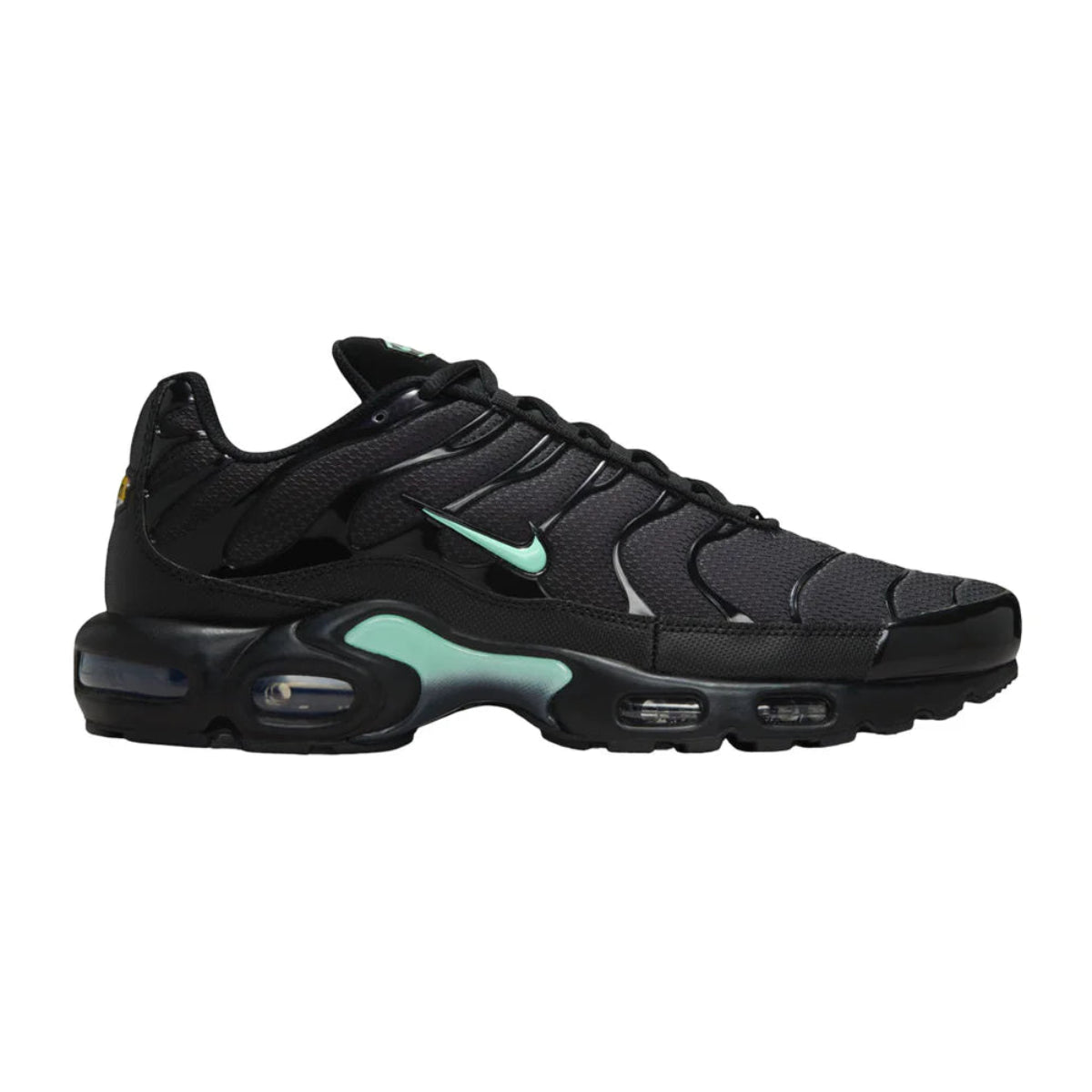 Nike Air Max Plus Tn "Black & Mint Foam"