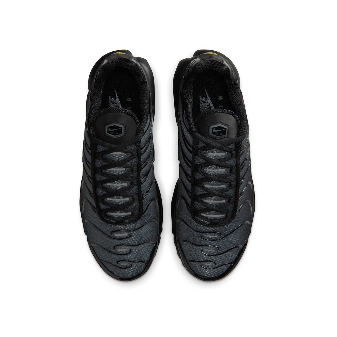 Nike Air Max Plus TN Plus 'Dark Grey'